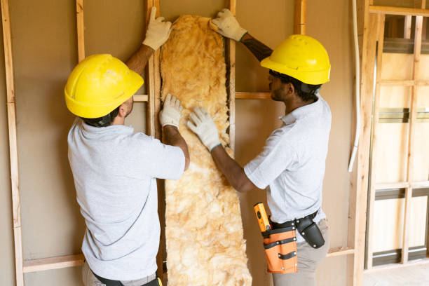 Insulation Replacement Services in Fanning Springs, FL